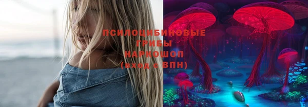 крисы Вязьма