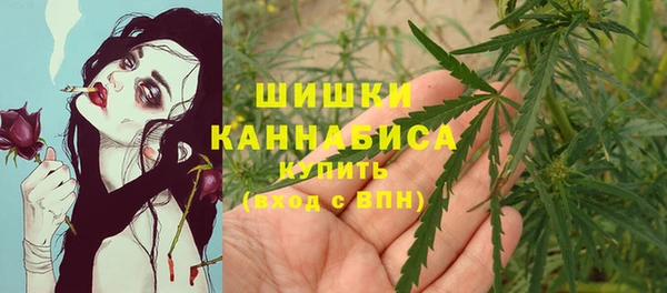 тгк Волосово