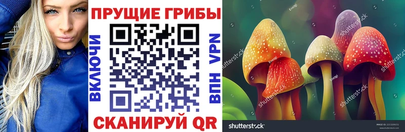 Галлюциногенные грибы GOLDEN TEACHER  Новое Девяткино 